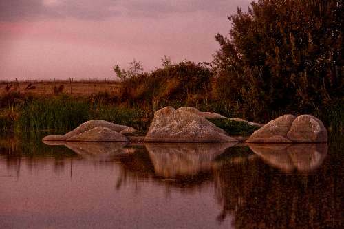 Angstfrei mit Hypnose